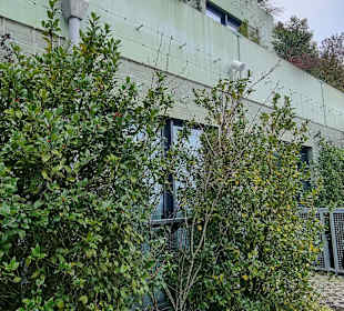 Begrünter Bunker