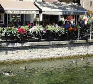 Rundgang durch die Altstadt