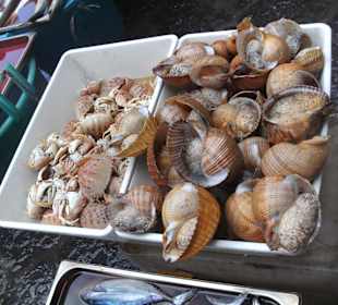 Fischmarkt von Catania