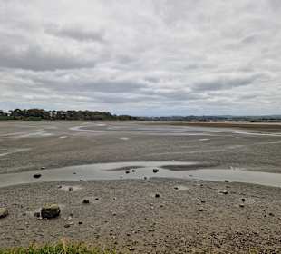Ahuriri Estuary Walk