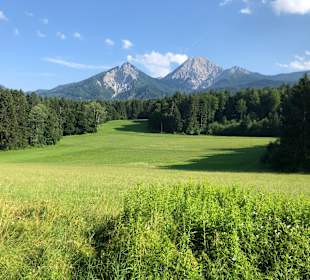 Wandern Oberaichwald