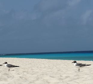 Ausflug mit Blenchi B&B nach Klein Curacao