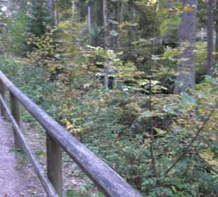 Triberger Wasserfälle