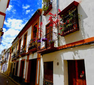 Calle Armas