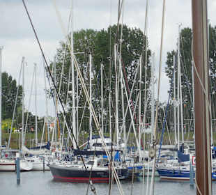 Nichts als Segelboote