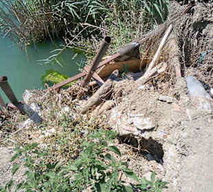 Auf dem Weg zum Strand