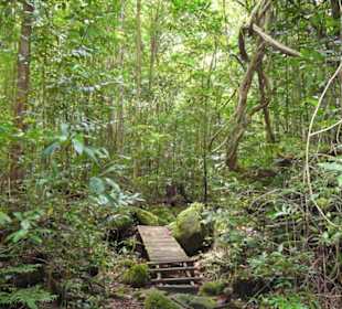 Beschilderter Dschungelpfad am Damai Beach