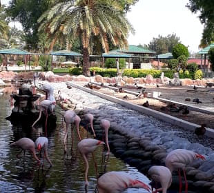 Al Areen Wildlife Park
