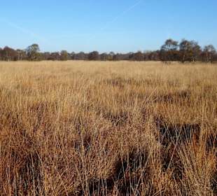 Hochmoorlandschaft um das Ewige Meer