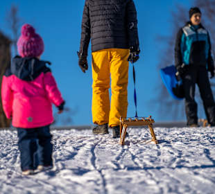 Schlittenfahrt Oberwiesenthal