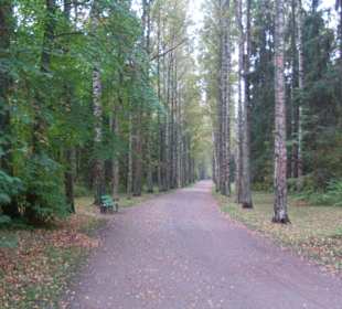 Parkanlage Pawlowsk