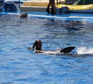 Marineland Mallorca