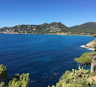 Wanderung Puig de Son Jordi