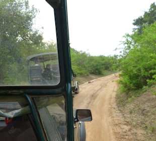 Überall andere Jeeps