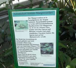 Botanischer Garten