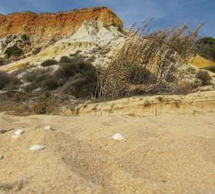 Super Strand in Hotelnähe