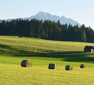 Feld bei Krungl