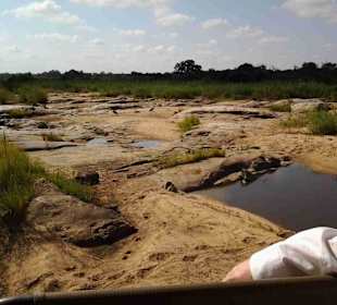 Krüger Nationalpark