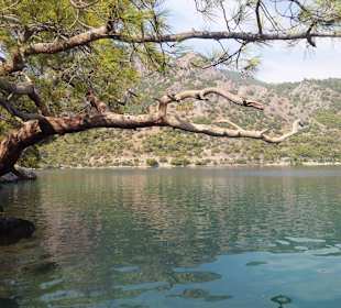 Ölü Deniz schön ruhig