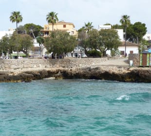 Ausflug Glasboot Sea Odyssey