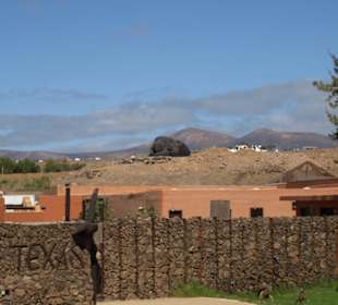 Der Büffel aus Fels