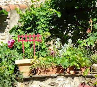 Impressionen aus Castelnou