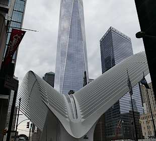 Stadtrundfahrt New York