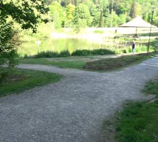 Kurpark Bad Niedernau