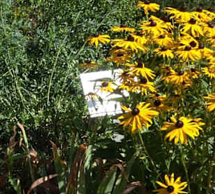 Klosterkirche Maria Gnadenzell