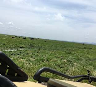 Amboseli Nationalpark