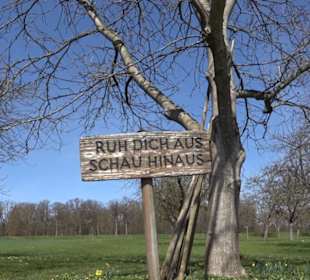 Premiumwanderweg "hochgeblickt"