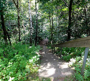Auf dem Rundweg um den Dammer Bergsee
