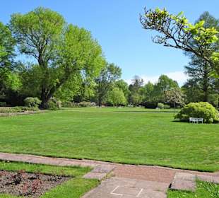 Eindrücke vom Spaziergang durch den Stadtpark