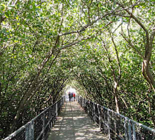 Manatee Viewing Center