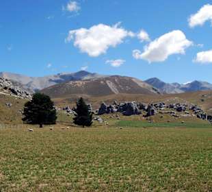 Просторы Новой Зеландии.