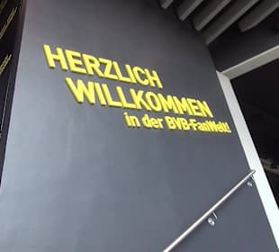 Fan Welt