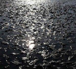 Wattenmeer