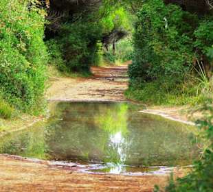 Ende September 2010 Inspirationen