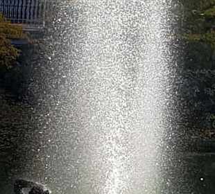 Der tolle Springbrunnen