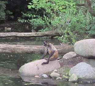 Impressionen aus dem Zoo Karlsruhe