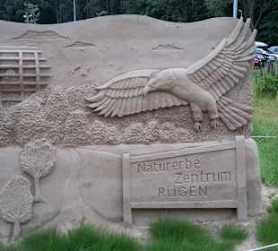 Naturerbe Rügen 