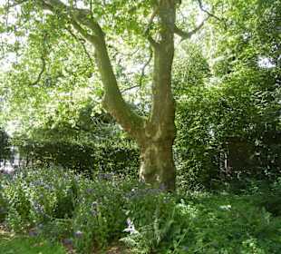 Parkanlage Planten un Blomen