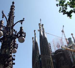 Katedra Sagrada Familia