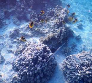 В лагуне у отеля.