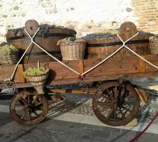 Festa dell'uva e del vino Bardolino
