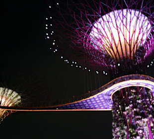 Gardens by the Bay - Singapore
