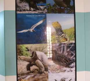 In der Station viele Erklärungen