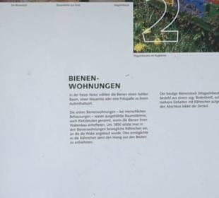 Naturinfopfad Weggental