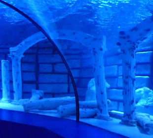 Aquarium Antalya