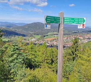Weg zum Bodenmaiser "Hausberg-Silberberg"